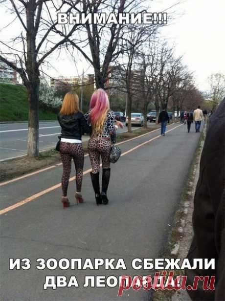 Гости, друзья