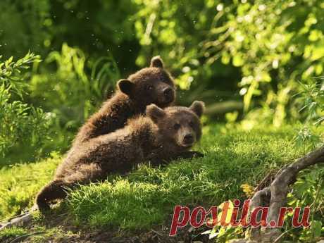 Наш мир в фотографиях - 107 / Our World in Photographs - 107.