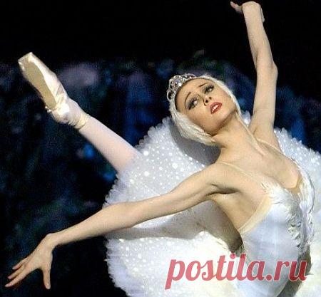 Svetlana Zakharova  |  Найдено на сайте operachic.typepad.com.