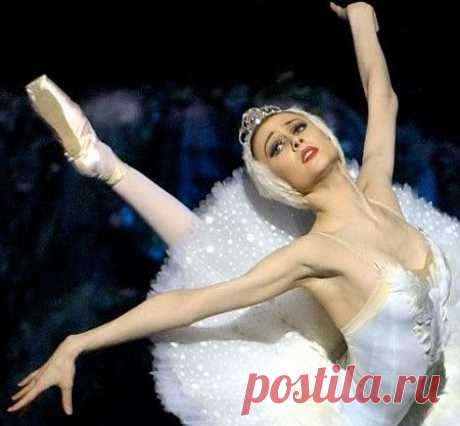 Svetlana Zakharova  |  Найдено на сайте operachic.typepad.com.