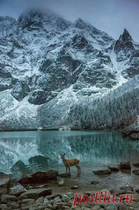 Google+