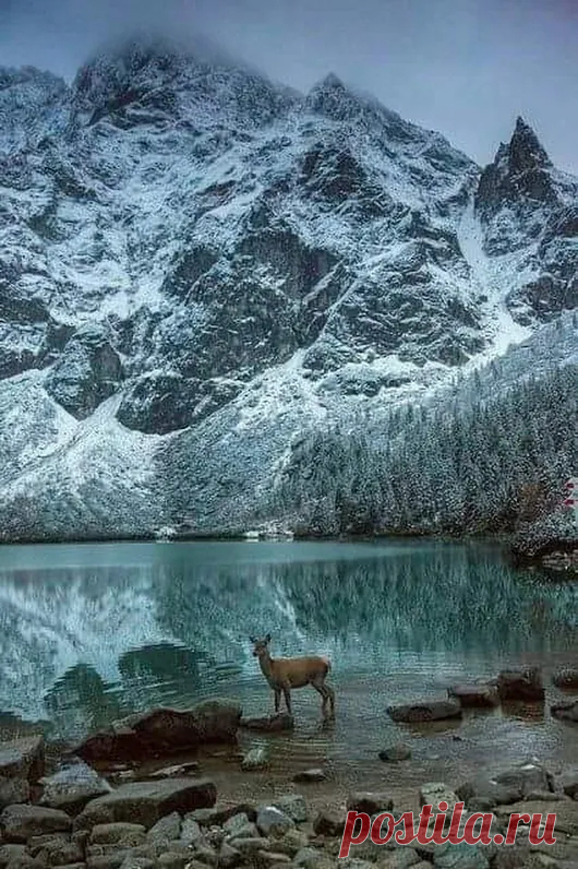 Google+