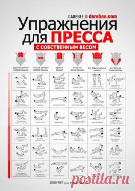упражнения для пресса