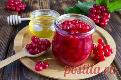 Калина с медом и лимоном на зиму без варки — Домашняя кулинария