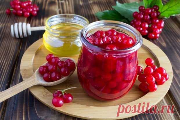 Калина с медом и лимоном на зиму без варки — Домашняя кулинария