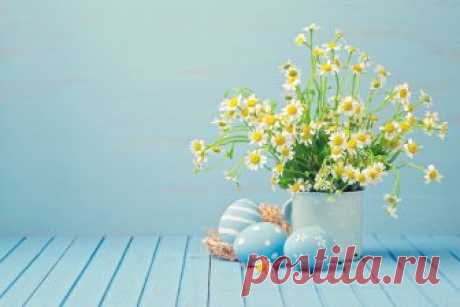 Camomiles_Easter_Bouquets_Colored_background_Wood_543357_1280x853.jpg (1280×853)