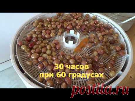 +ЦУКАТЫ ИЗ КРЫЖОВНИКА