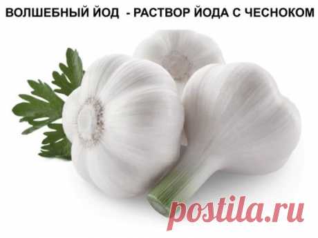 (49) Одноклассники