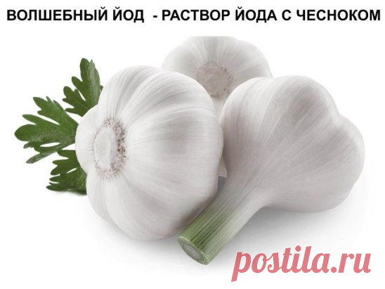 (49) Одноклассники