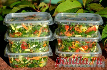 Как заморозить овощную смесь на зиму (рецепт с фото) | RUtxt.ru