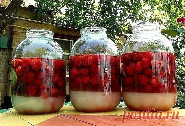 4 стакана сахара, 4 стакана воды, 4 стакана ягод, 4 стакана водки!
Ягодная наливка - просто, вкусно и главное своими руками!
Ягодная наливка «Четыре на четыре»: не забудь перевернуть банку.
Рецепт наливки у каждого свой, но этот поистине гениален в своей простоте: 4 стакана сахара, 4 стакана воды, 4 стакана ягод, 4 стакана водки. 
Забыть его сложно даже при желании!