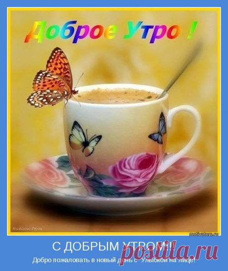 Позитивные картинки про доброе утро (36 фото) ⭐ Забавник