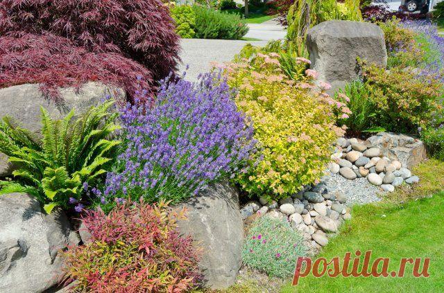 Альпийская горка – как сделать своими руками быстро и просто | Альпийские горки (Огород.ru)