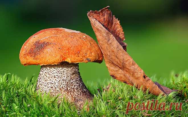 Фото красивые обои. Альбом ! Красивые обои 15 - 100 фото. Фотографии Wallpaper Man.