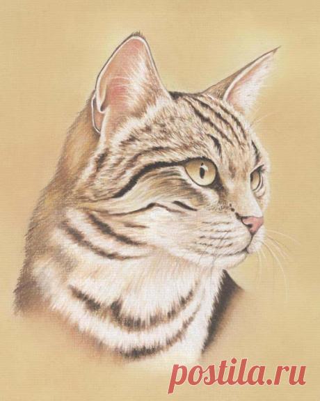 Кошачий портрет