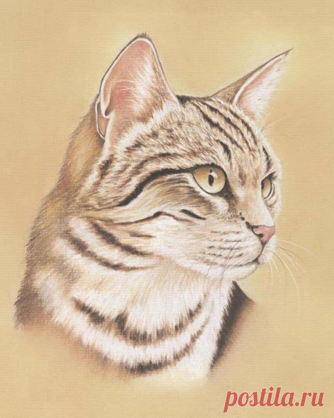 Кошачий портрет