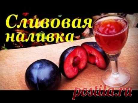 ✿◆➤● СЛИВЯНКА, НАЛИВКА ИЗ СЛИВ – ДОМАШНИЙ РЕЦЕПТ
