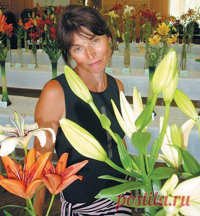 Весенние заботы в саду, в цветнике и на подоконнике | Подружки