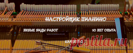 Ника Январёва - Google+