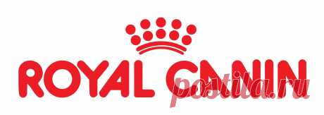 ROYAL CANIN X-Small Adult в Санкт-Петербурге купить в интернет-магазине | Минизоомаркет. Товары для животных.