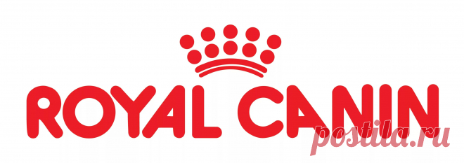 ROYAL CANIN X-Small Adult в Санкт-Петербурге купить в интернет-магазине | Минизоомаркет. Товары для животных.