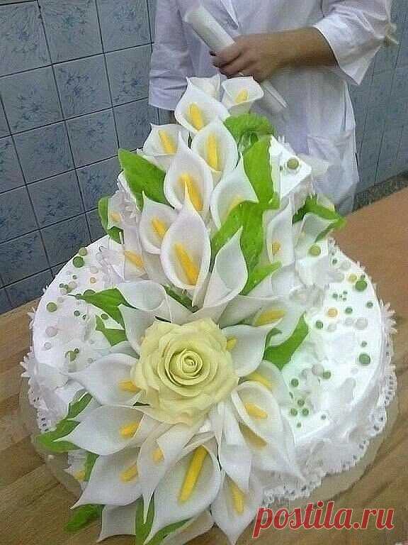 (4) Одноклассники