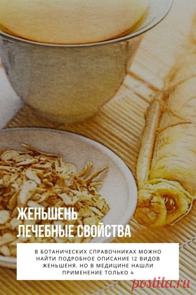 Женьшень лечебные свойства. О целебной силе женьшеневого корня еще в глубокой древности ходили легенды. Поэтому на протяжении многих тысячелетий это растение считалось панацеей от всех болезней. Даже его название в дословном переводе означает «человек-корень». Действительно, корни этого уникального растения напоминают силуэт человека, что само по себе символично.