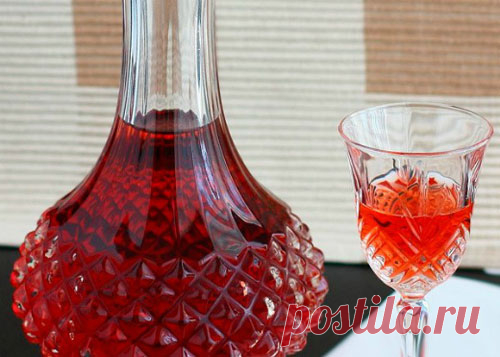 Настойка из красной рябины на водке: рецепт в домашних условиях