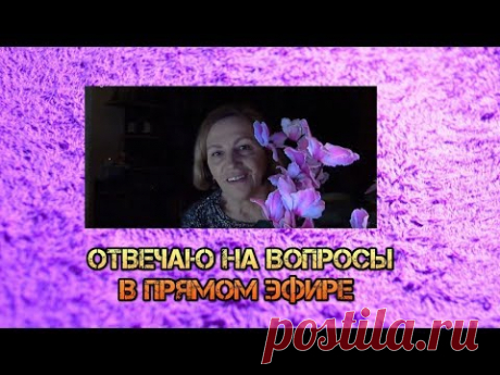 Отвечаю на вопросы в прямом эфире. Сажаем растения из косточек.