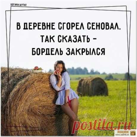 Подборка фотоприколов / Картинки: Приколы