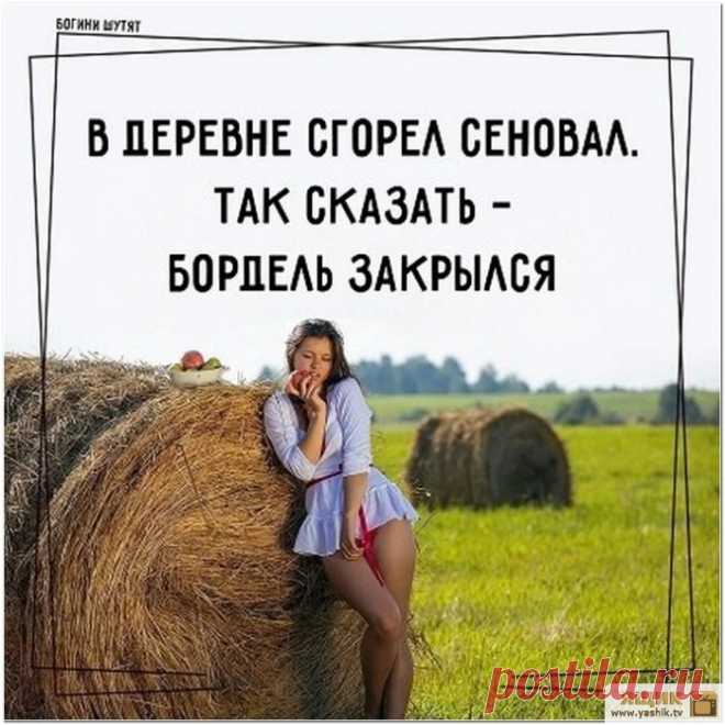Подборка фотоприколов / Картинки: Приколы