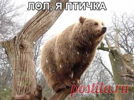 Чик чирик