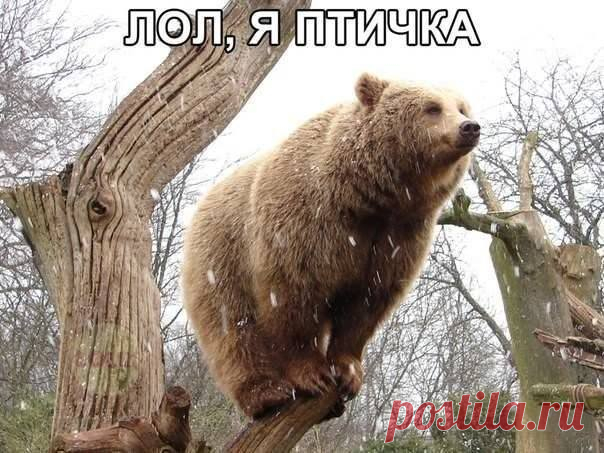 Чик чирик
