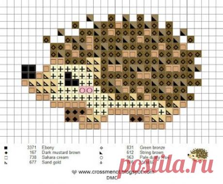a cross stitch pattern with an image of a bear on it's back side
