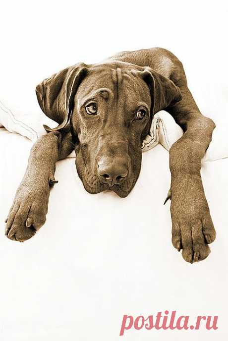 Lazy Days............ | Flickr - Photo Sharing!