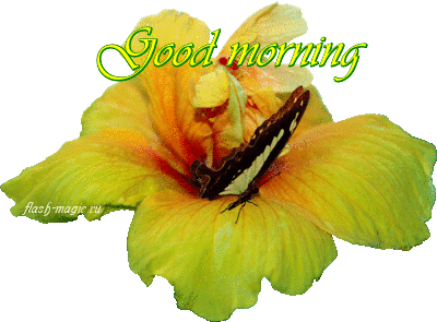 online-image-editor - Блог Ларисы