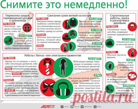 Правильная одежда и обувь для дачных работ. Инфографика | Инфографика | Вопрос-Ответ | Аргументы и Факты