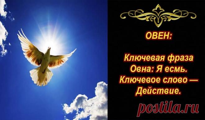 Духовная карта рождения по Знаку Зодиака! Наша карта рождения — это мандала,отражение того, кто мы есть на уровне души, а кроме того, в ней отражена Вселенная.Это картина небес, застывшая во времени