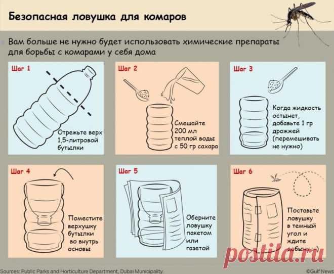 Простая и безопасная ловушка для комаров своими руками — Своими руками