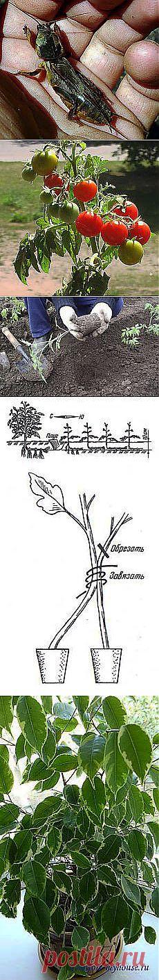 Не печалься, Мишка. Утро вечера мудренее! и другие материалы. Новое в Вашей подборке на Постила.ru - hyanhe@mail.ru - Почта Mail.Ru