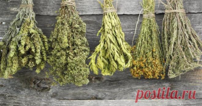 Заготовки на зиму: как правильно засушить фрукты и овощи — Вкусные рецепты