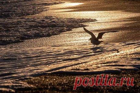 В России захотели придать одному из морей статус внутреннего водоема. Законопроект о признании Азовского моря внутренним водоемом России внесли в Госдуму, сообщил депутат Михаил Шеремет. Это позволит законодательно закрепить исключительный суверенитет России над акваторией, пояснил он. Депутаты постараются принять закон до конца года, добавил Шеремет.