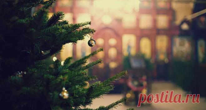 Крещенский Сочельник – время, когда надо быть в храме - Православный журнал 