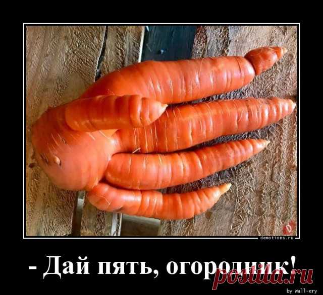 Новых демотиваторов пост