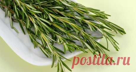 5 специй, которые уничтожают бактерии и укрепляют иммунитет     Опытная хозяйка знает: сделать блюдо еще вкуснее и ароматнее можно при помощи приправ. Однако это еще не всë. Благодаря полезным свойств...