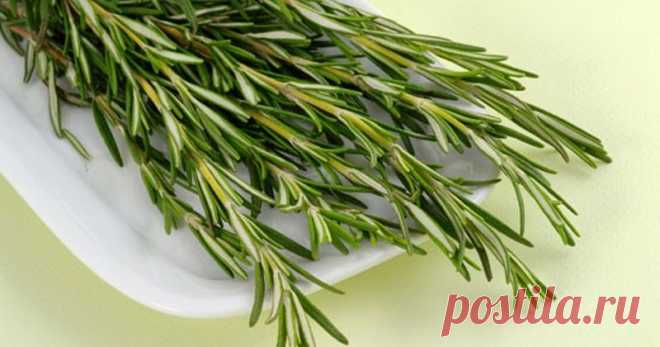 5 специй, которые уничтожают бактерии и укрепляют иммунитет     Опытная хозяйка знает: сделать блюдо еще вкуснее и ароматнее можно при помощи приправ. Однако это еще не всë. Благодаря полезным свойств...