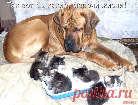 Интересные новости