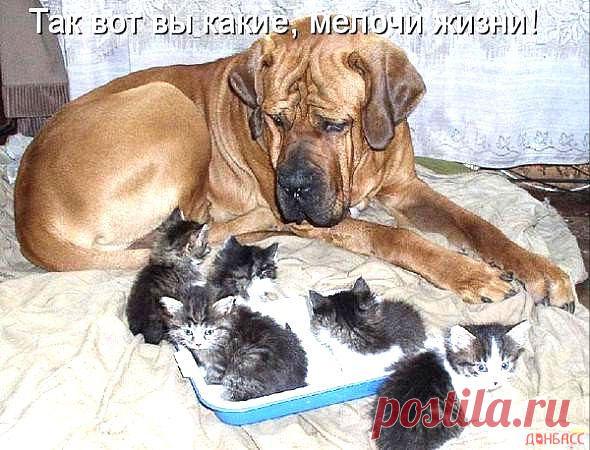 Интересные новости