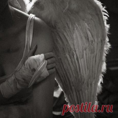 Это даже не надежда,
Это только слабый свет,
Тонкий луч, блеснувший между
Туч. Но если шансов нет,

Почему же бьюсь упрямо
В эту запертую дверь
Заколоченного Храма,
Безголосый менестрель?!

Предо мной закрыты ставни,
Здесь мне петь запрещено.
Но живу мечтою давней,
Что открою все равно

Я однажды эти двери
В день неведомо какой,
Счет устав вести потерям,
Твердой маленькой рукой.

Агриппина Пчёлкина