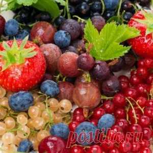Какие вкусности из ягод можно заготовить на зиму